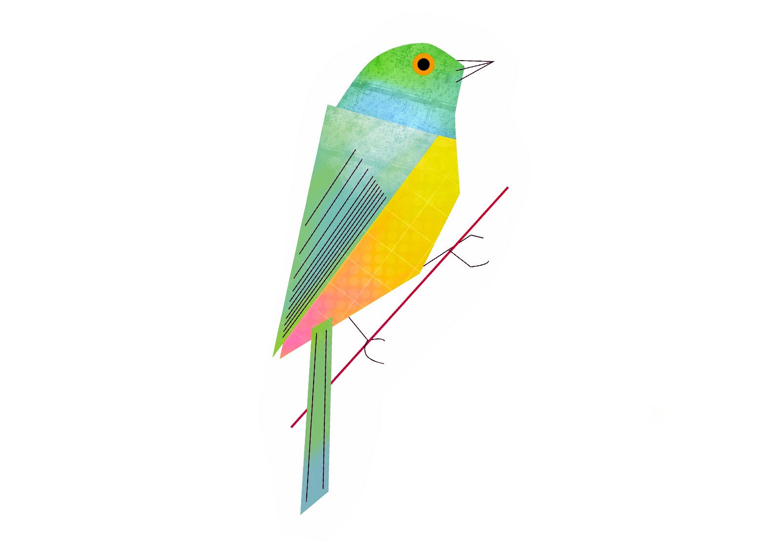 Illustration Digital Vogel
