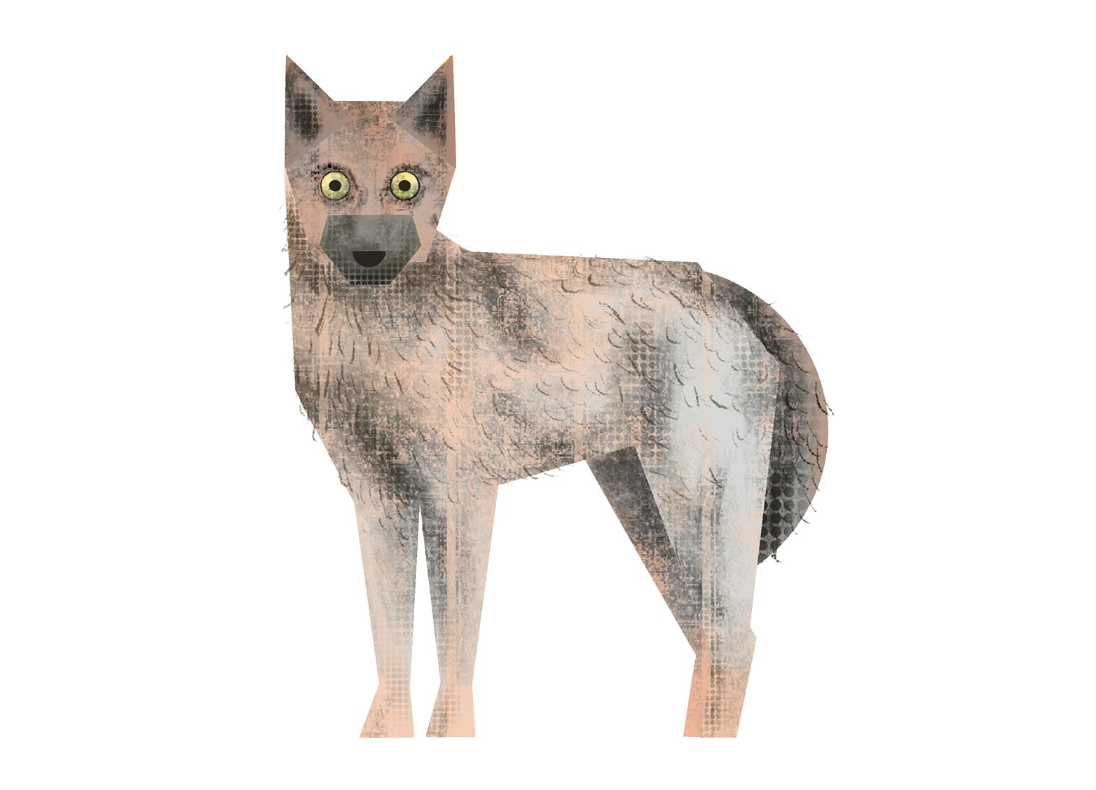 Illustration Digital Wolf